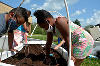 2020, 8-10 Lindsay Learning Garden